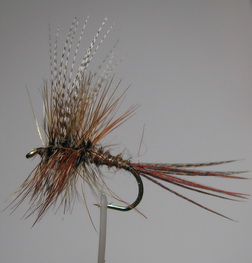 ���� ����� Dry fly  